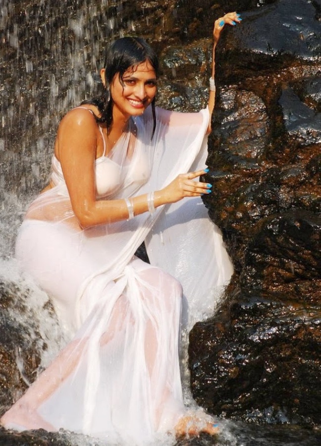 Hot Wet Tollywood Actresses Saree Pics