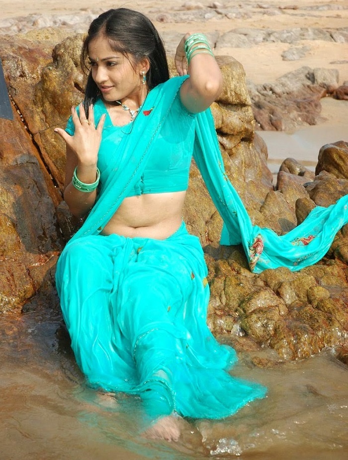 Hot Wet Tollywood Actresses Saree Pics