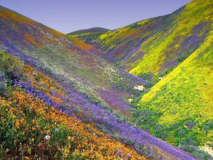 10 Most Colourful Places Of Incredible India!