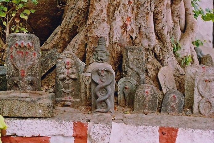 ‘Namaste!’ The Astounding Culture Of Incredible India!