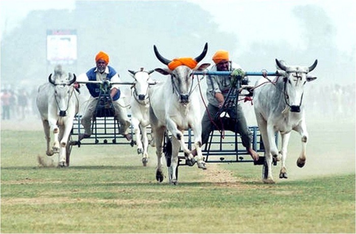 ‘Namaste!’ The Astounding Culture Of Incredible India!