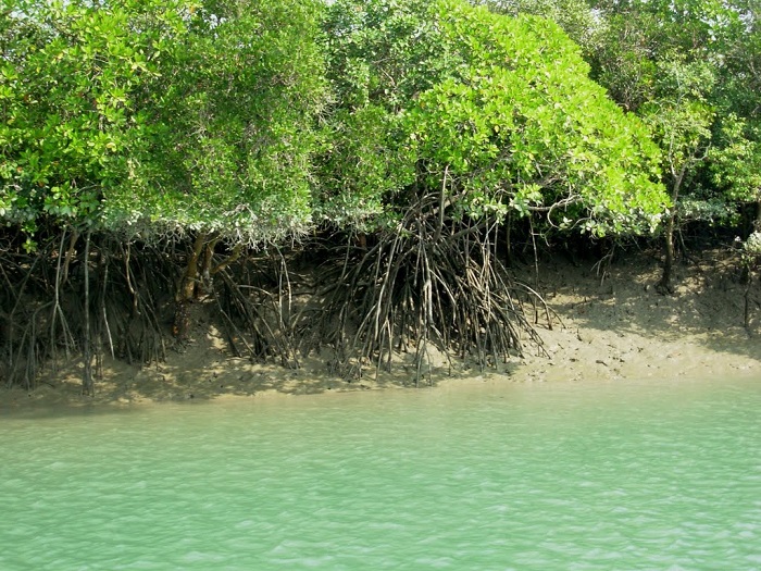 Most Strange Places in India