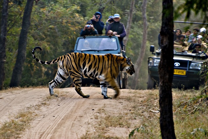 Places For Adventure Tourism In North-East India