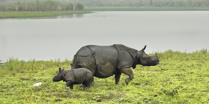 Places For Adventure Tourism In North-East India