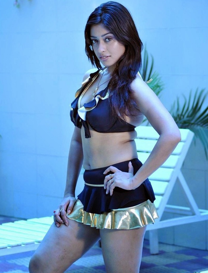 Payal Ghosh Hot Thunder Thigh Pics