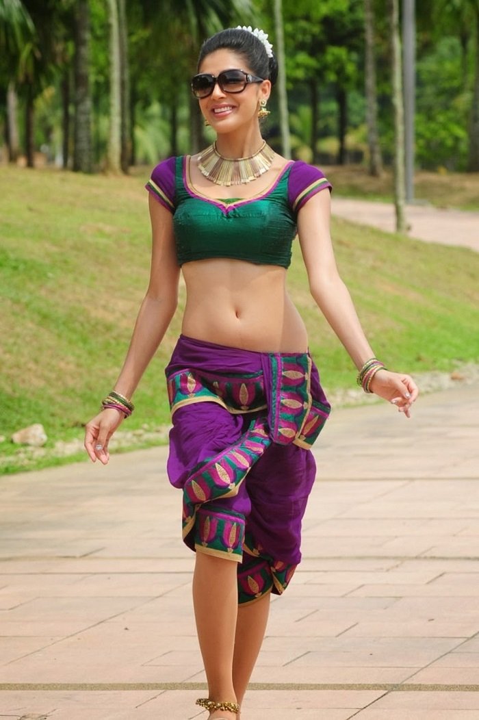 South Indian Actress Hot Navel Show 