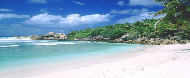 arambol beach