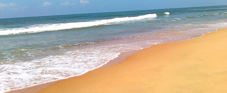 candolim beach