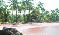 kollam beach