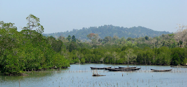 Bengal Swamps haunted places in India