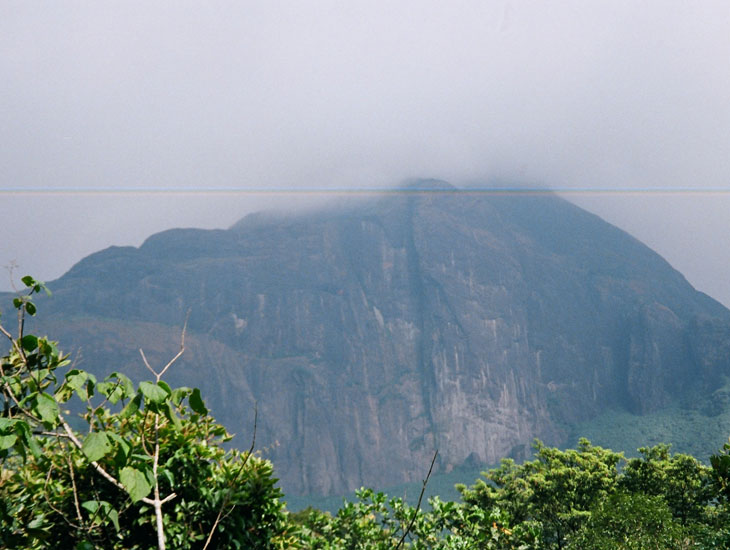 Ashambu Hills
