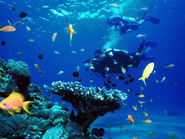 Goa islands sea diving locations