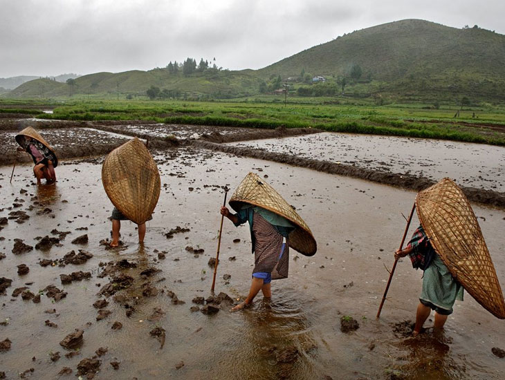 Mawsynram Wettest Place in India