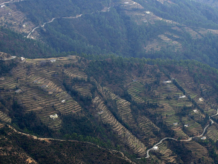 Nilgiri Hills