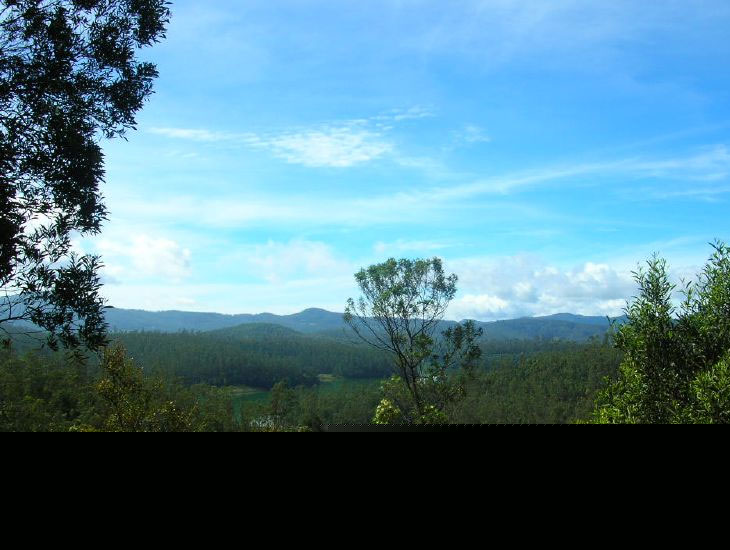 highest rainfall regions Nilgiri