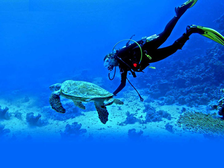 Pondicherry islands sea diving locations