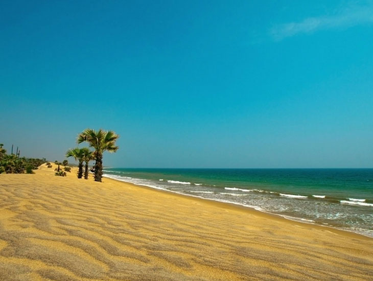Rishikonda Beach - Andhra Pradesh