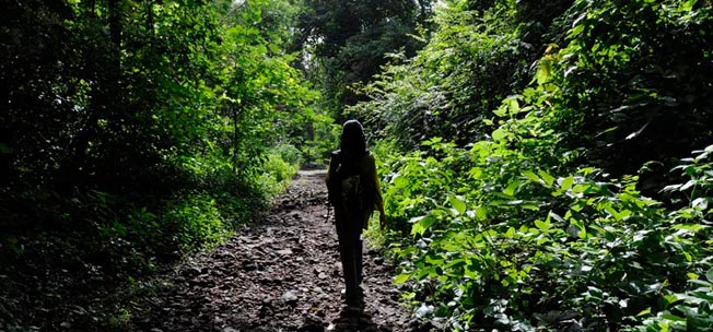 Sanjay Gandhi National Park haunted places in India
