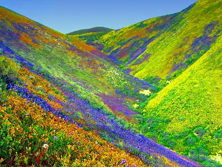 valley of flowers destination