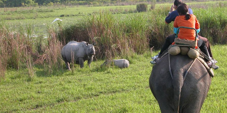 Kaziranga heritage tourist attractions