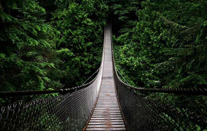 Capilano Suspension Bridge