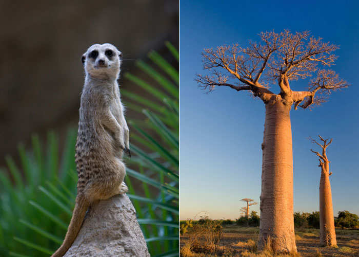 Madagascar