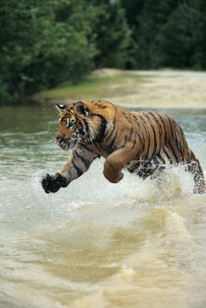 Sundarbans National Park