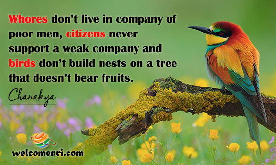 Whores don’t live in company of poor men, citizens never support a weak company and birds don’t build nests on a tree that doesn’t bear fruits.