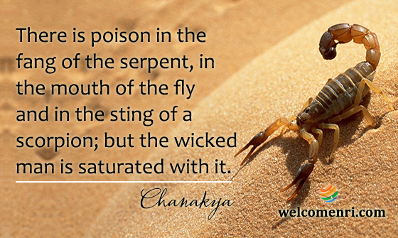 There is poison in the fang of the serpent, in the mouth of the fly and in the sting of a scorpion; but the wicked man is saturated with it.
