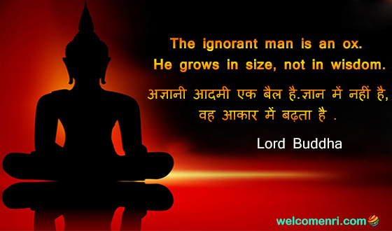 The ignorant man is an ox. He grows in size, not in wisdom.
