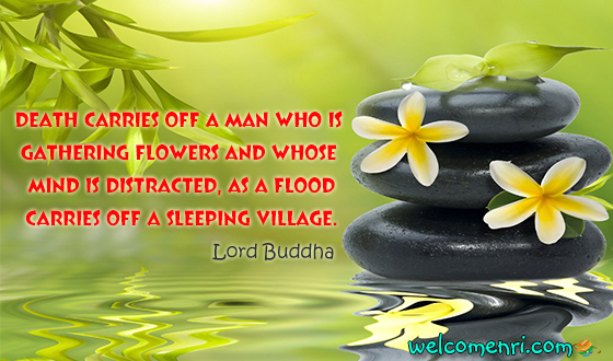  Death carries off a man who is gathering flowers and whose mind is distracted, as a flood carries off a sleeping village. 