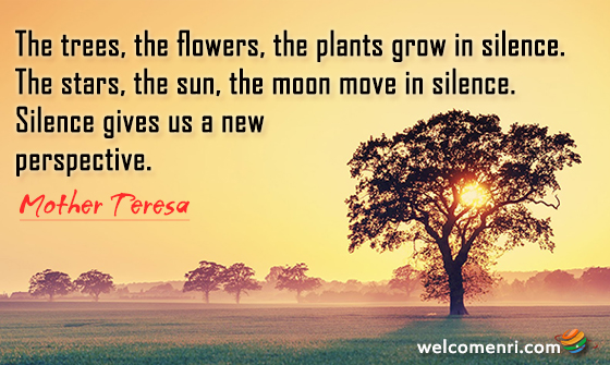 The trees, the flowers, the plants grow in silence. The stars, the sun, the moon move in silence. Silence gives us a new perspective. 