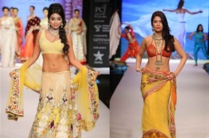 Ankita Shorey beautiful indian model hot in saree