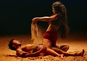 Ek Paheli Leela movies sunny leon sex romance