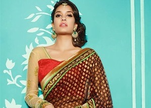 Lisa Haydon indian female model looking hot in saree