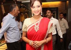 Madalasa Sharma in saree