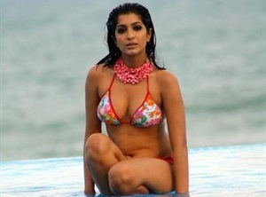 Model Medha Raghunathan hot photo