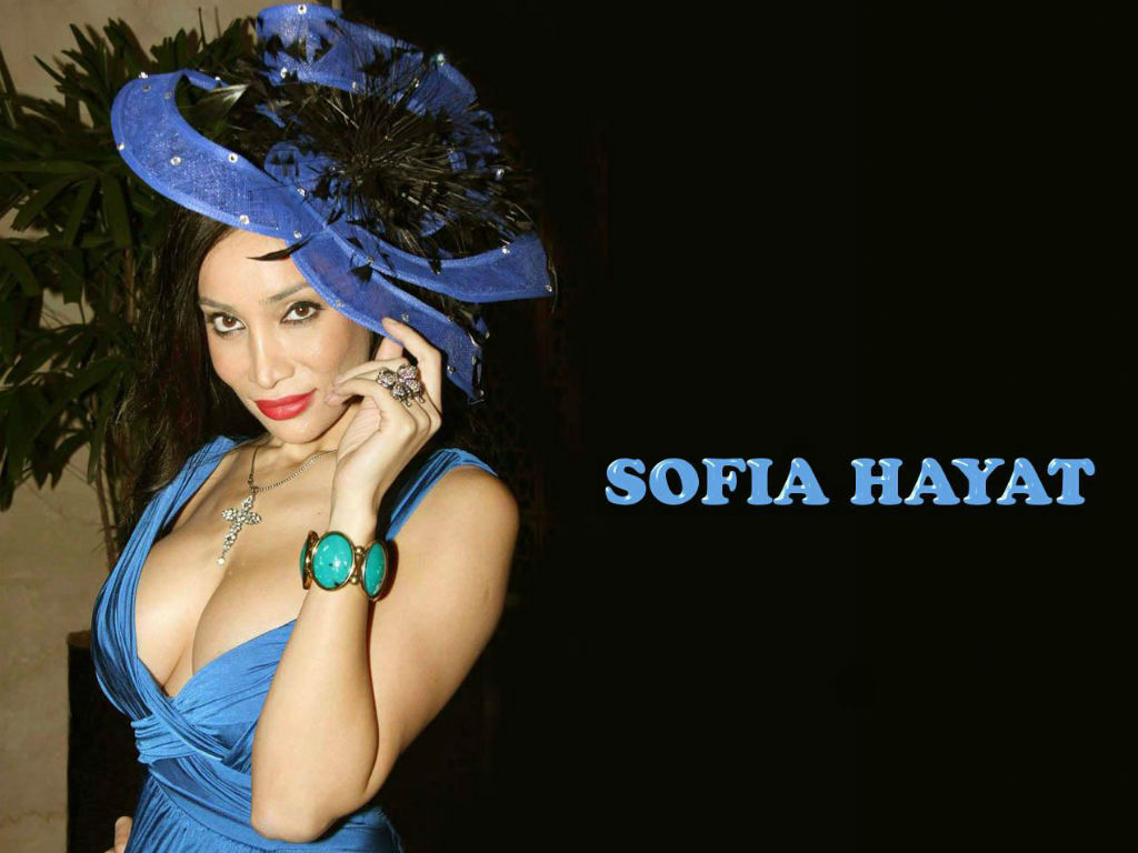 Sofia Hayat Actress hot stills, Actress in hot Saree Photos