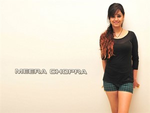 Meera Chopra hot legs, Meera Chopra HD  Wallpapers