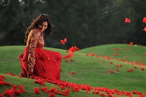 tamil actress nisha agarwal HD wallpapers