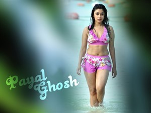 bengali actress payal ghosh wallpapers HD