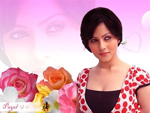 bengali actress Payal sarkar HD wallpapers