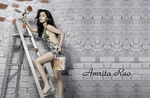 Download Latest Wallpapers Of Amrita Rao