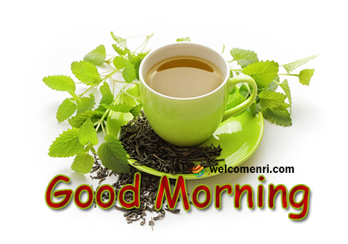 Morning , Photos, Morning Wallpapers,good morning wishes,morning wish,