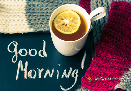 Good Morning SMS Wishes 