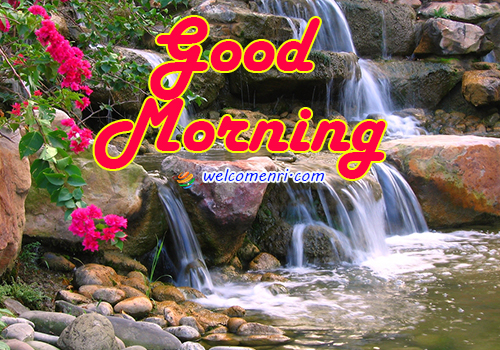 Morning ,morning wishes,Good Morning Messages