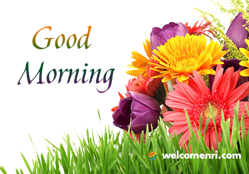 Good Morning Wishes,Best Good Morning Images,Latest Good Morning Wishes ,Good Morning Cards,