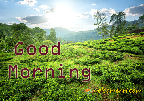 Best Good Morning Images,Latest Good Morning Wishes ,Good Morning Cards,