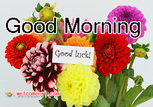 Good Morning sms and Wishes,Latest Good Morning Wishes ,Good Morning Cards,