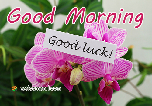 Good Morning sms and Wishes,Latest Good Morning Wishes ,Good Morning Cards,cute good morning wishes